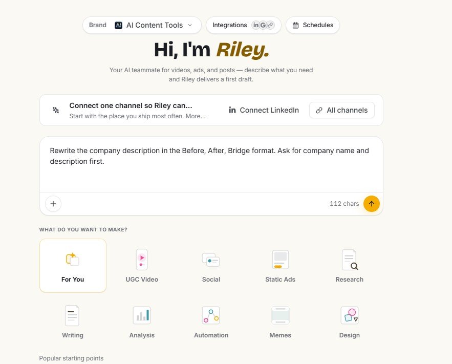 Simplified Riley prompt asking for a company description using the Before After Bridge framework