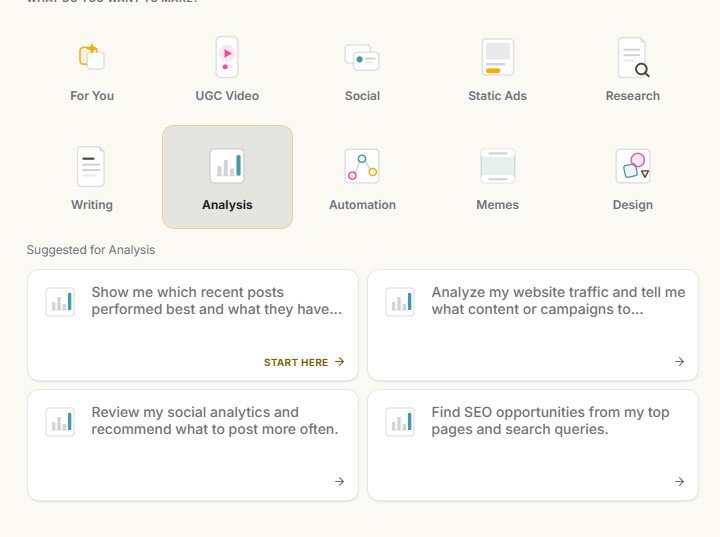 Simplified Riley analysis tools for website traffic, social analytics and SEO opportunities